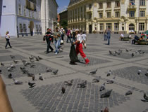 sibiu stiri